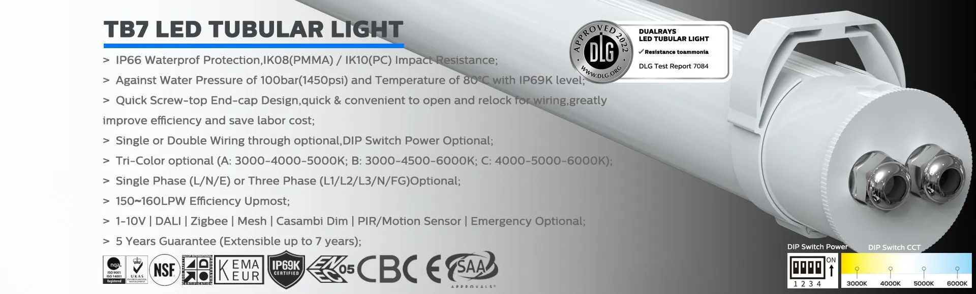 DUALRAYS TB7 LED Tubular Light